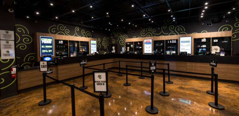 The Garden - Camp Washington interior